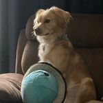 Marcia Randall - @marci_ran - Instagram