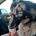 Marsha Bunn Randall - Facebook