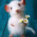 Marsha Lucero Rapp - Facebook