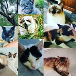 Marsha Rappa - @rappamarsha - Instagram