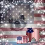 Marsha Rose Mota Anderson - @mrashub7 - Instagram