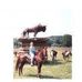 Marsha Rucker Bradford - Facebook