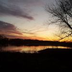 Marsha Salisbury Dewiese - @salisburydewiese - Instagram