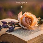 Marsha Schaffer - @marsha.schaffer.75 - Instagram