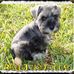 Marsha Schaffer - Facebook