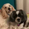 Marsha Messinger - @marsha.messinger - TikTok