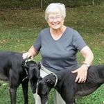Marsha Snowberger Hotchkiss - @marshasnowberger - Instagram