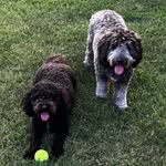 Marsha Swanson Snow - @marshasnow44 - Instagram
