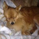 marsha spencer - @marshaleespencer - Instagram