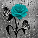 Marsha Stamper - @marsha.stamper.54 - Instagram