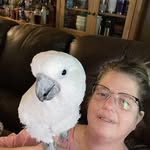Marsha Stamper - @stampermarsha - Instagram