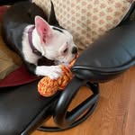 Marsha Starr Kuhn - @mskuhm2001 - Instagram