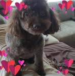 Marsha Vining - Facebook