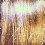 @marsha.wolfel - Instagram