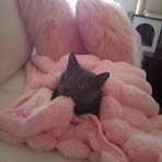 Marsha Wolfe - Facebook