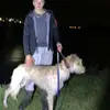 Marshall - @marshallduke65 - TikTok