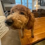 Marshal Miller - @marshal._.miller - Instagram