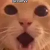 _Ray.the.demon_ - @marshal.ray - TikTok
