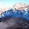 Marshall Andrews - @marshall.andrews0 - TikTok