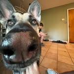 Marshall allan Arnett - @arnettmarshallallan - Instagram