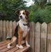 Marshall Arnett - Facebook