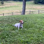Marshall Barnett - @marshallbbarnett - Instagram