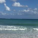 Marshall Barnette - @marshall.barnette - Instagram