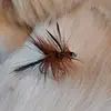 FishnBear - @marshallbaldwin5 - TikTok
