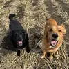 Marshall  Baldwin - @marshall.baldwin5 - TikTok