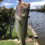 Marshall Barber - Facebook