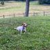 Marshall Barnett - Facebook