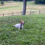Marshall Barnett - @marshallbbarnett - Instagram