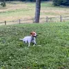 marshallbarnett14 - @marshallbarnett14 - TikTok