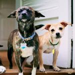 Barney & Marshall - @barney_and_marshall - Instagram