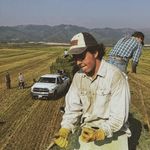 Benson Marshall - @benson.marshall - Instagram