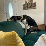Marshall Benson - @marshall_benson - Instagram