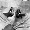 Marshall benson - @bnda_pop_247 - TikTok