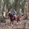marshallblevins - @marshall.blevins - TikTok