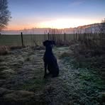 Marshall Buchanan - Facebook