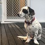 Frank Marshall Burns - @frank_marshall_burns - Instagram