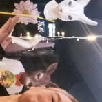 Marshall Burns - Facebook