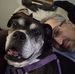 Marshall Clark - Facebook