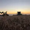 marshall_goble - @marshall_goble - TikTok