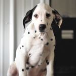 Marshall Compton - @marshallcompton - Instagram
