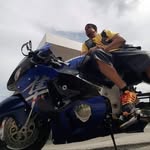 Marshall K-Nine Dabney - @marshallknine - Instagram