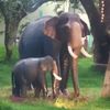 Sujoy_das_Sujit - @mmarshall.dehaven - TikTok
