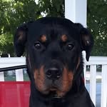 marshal dewitt - @marshaldewitt - Instagram