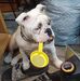 Marshall Dickey - Facebook