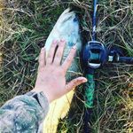 Marshall Dillon Baggett - @louisiana_fisher12 - Instagram