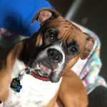 Marshall Dillon Carter - @marshalldilloncarter - Instagram